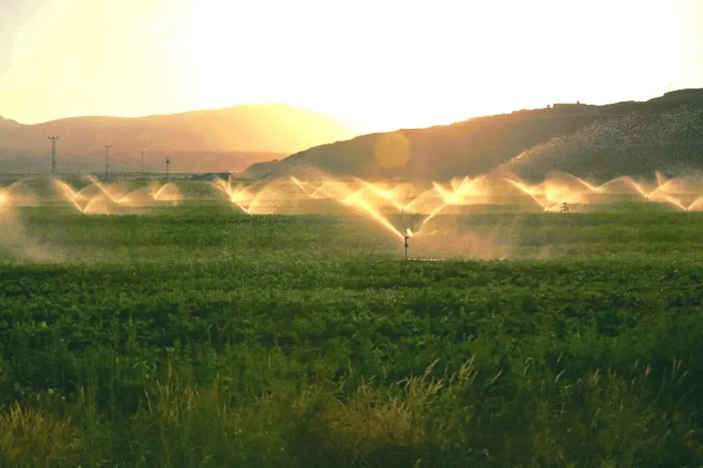 sustainable irrigation system
